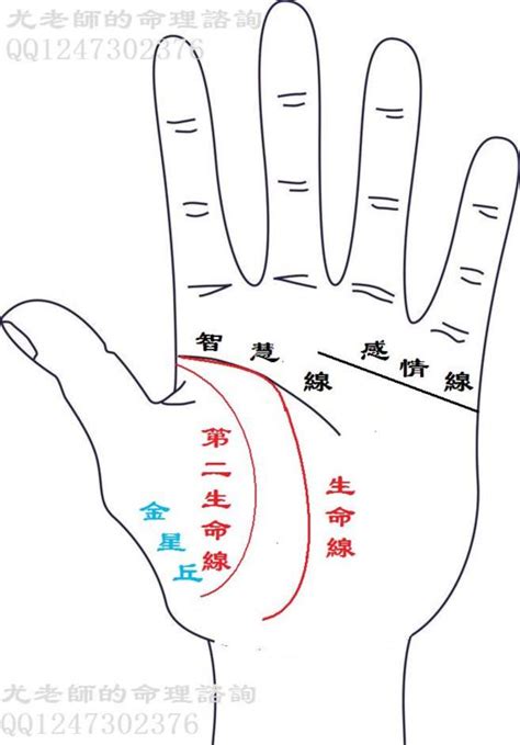 2條生命線|兩條生命線代表什麼 擁有雙重生命線的人更健康